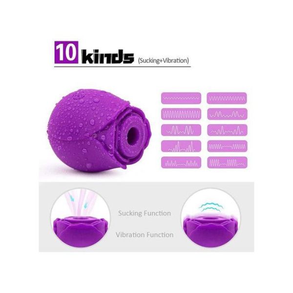 Purple Rose G-Spot Sucker Vibrator – Luxury Pleasure