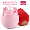 Pink Rose G-Spot Sucker Vibrator – Soft Elegance