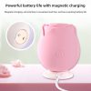 Pink Rose G-Spot Sucker Vibrator – Soft Elegance